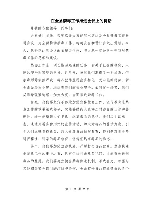 在全县禁毒工作推进会议上的讲话