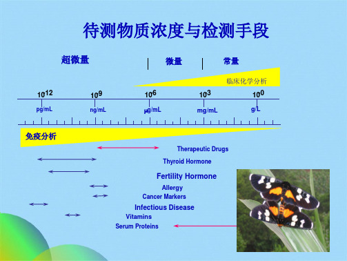 体外分析技术(共63张PPT)