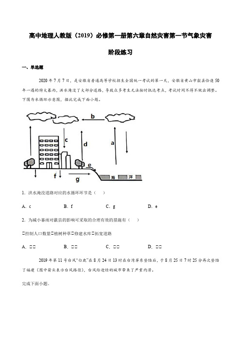 高中地理人教版(2019)必修第一册第六章自然灾害第一节气象灾害阶段练习