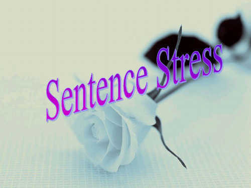 Sentence Stress