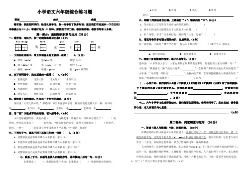 新课标人教版六年级下册语文期末试卷 (26)