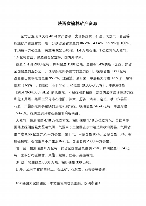 陕西省榆林矿产资源