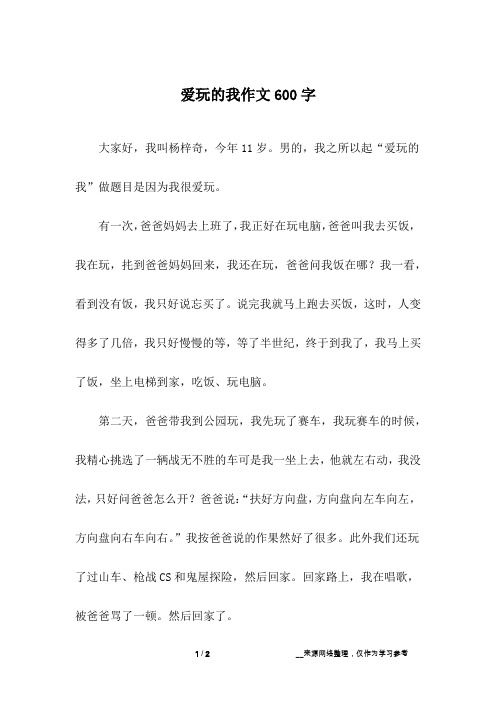 爱玩的我作文600字