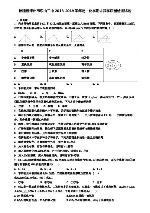 福建省漳州市东山二中2018-2019学年高一化学期末教学质量检测试题