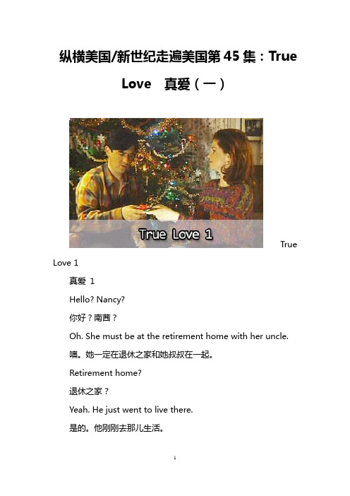 纵横美国-新世纪走遍美国第45集： True Love  真爱(一)