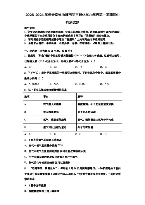 2023-2024学年云南省曲靖市罗平县化学九年级第一学期期中检测试题含解析