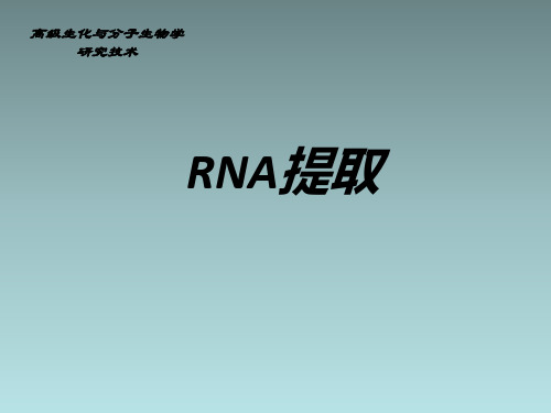 RNA提取详细步骤及注意事项