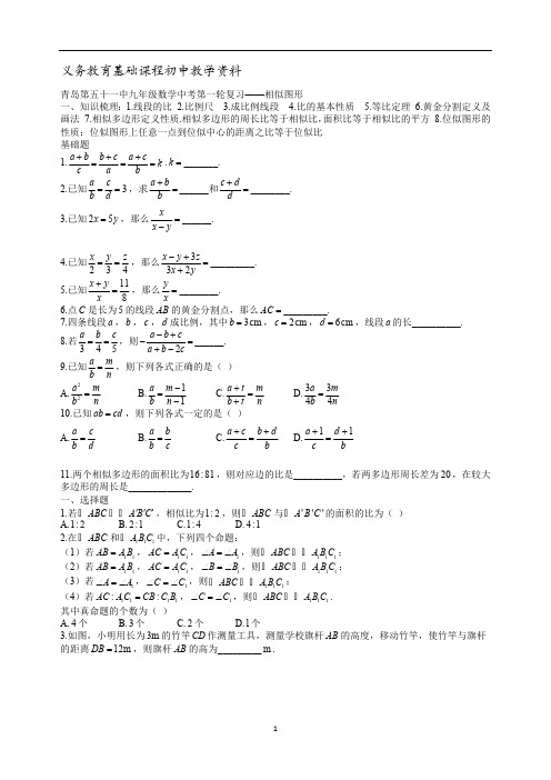 九年级数学中考第一轮复习——相似图形