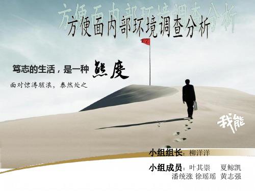 市场营销课程实训总结ppt