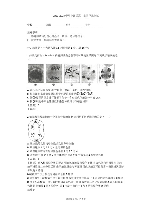 2023-2024学年高中生物中图版必修2第1单元 遗传与变异的细胞学基础单元测试(含答案解析)