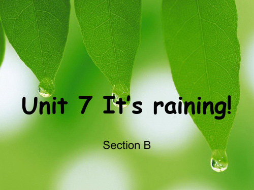 新目标七下Unit7 It’s raining Section B1a-1e (共33张PPT).pptx