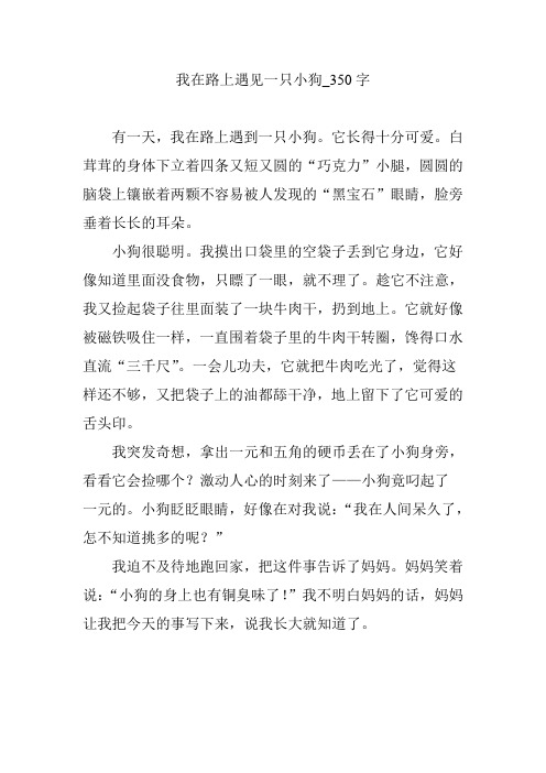 我在路上遇见一只小狗_350字