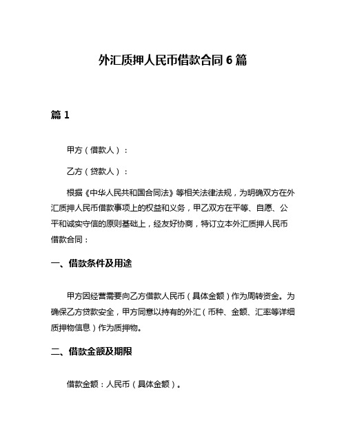 外汇质押人民币借款合同6篇