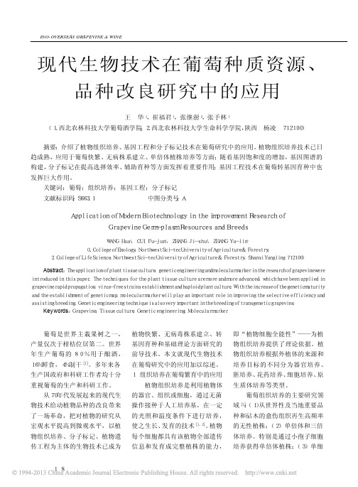 现代生物技术在葡萄种质资源、品种改良研究中的应用