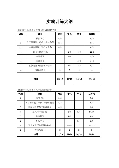 实践训练大纲