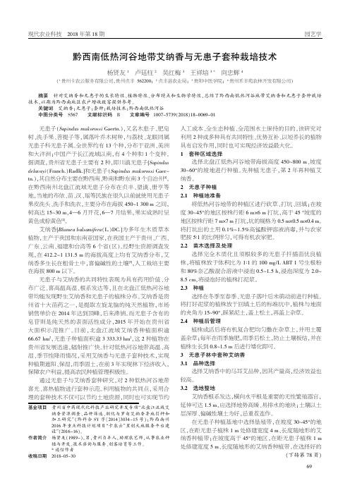 黔西南低热河谷地带艾纳香与无患子套种栽培技术