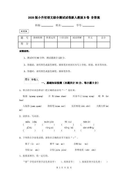 2020版小升初语文综合测试试卷新人教版B卷 含答案