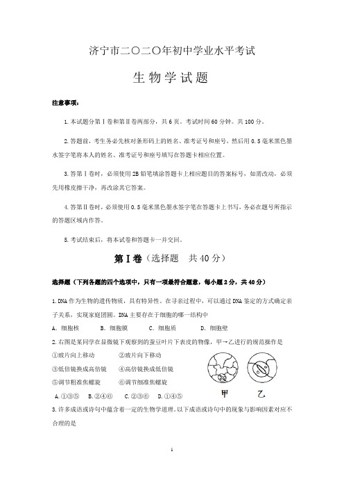 山东省济宁市2020年初中学业水平考试生物(含答案)