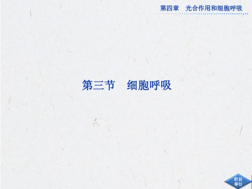 2013年苏教版生物必修1全册精品课件 第四章 第三节