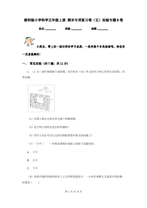 教科版小学科学五年级上册 期末专项复习卷(五)实验专题B卷