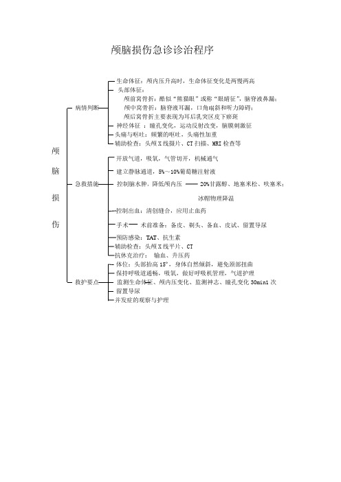 颅脑损伤的服务流程