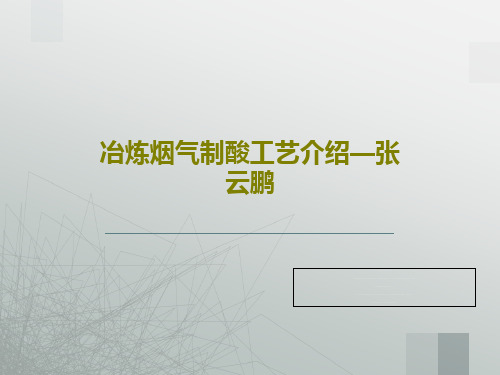 冶炼烟气制酸工艺介绍—张云鹏PPT共46页