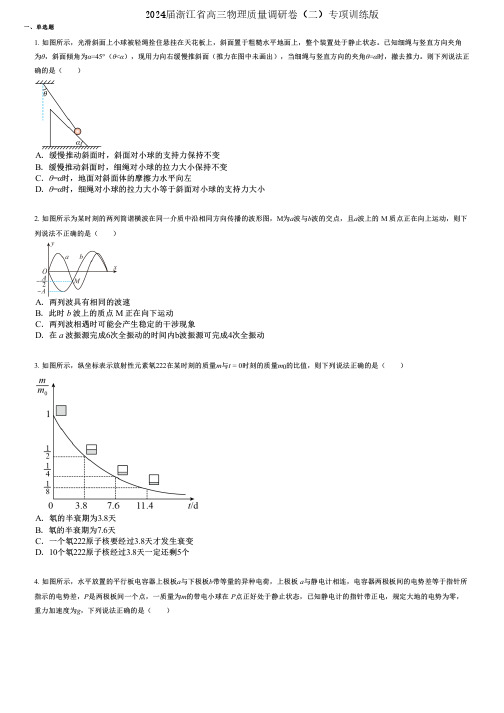 2024届浙江省高三物理质量调研卷(二)专项训练版