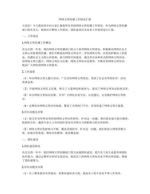 网络文明传播工作情况汇报