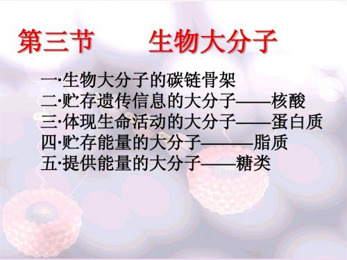 生物大分子(教学使用)