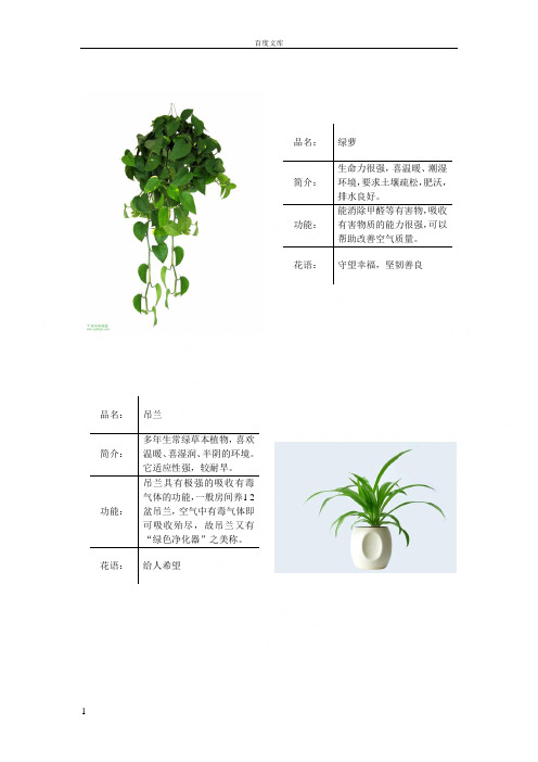 常见绿色植物图表