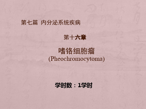 嗜铬细胞瘤ppt课件