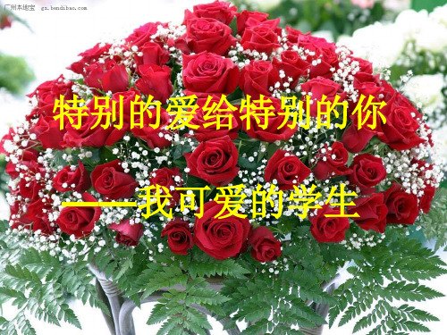 新航路的开辟(公开课)精编版