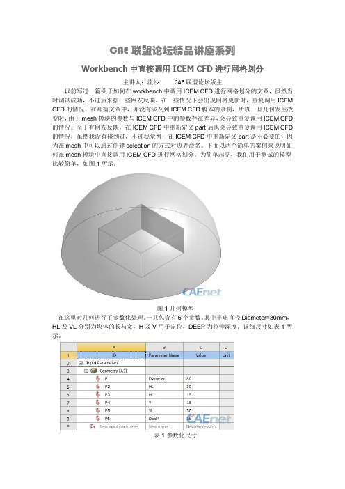 Workbench中直接调用ICEM CFD进行网格划分