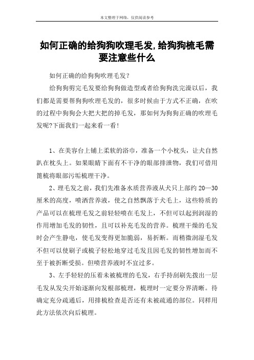 如何正确的给狗狗吹理毛发,给狗狗梳毛需要注意些什么