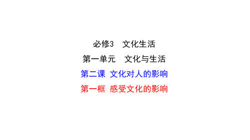 一轮复习文化生活 第二课文化对人的影响(共32张PPT)优质公开课PPT课件