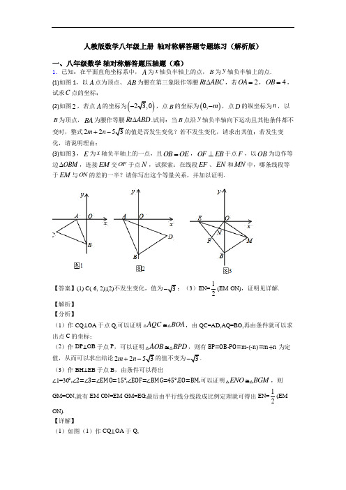 人教版数学八年级上册 轴对称解答题专题练习(解析版)