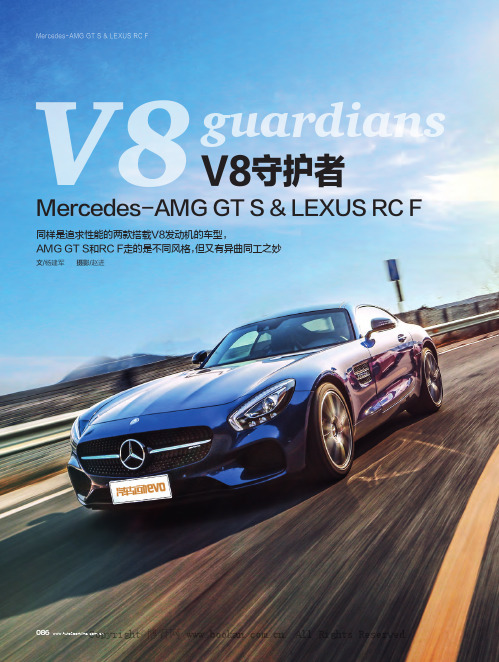 V8守护者