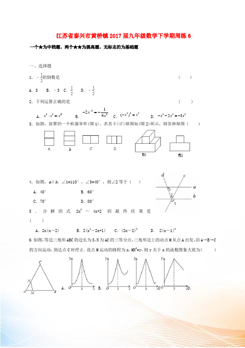 江苏省泰兴市黄桥镇2022届九年级数学下学期周练6