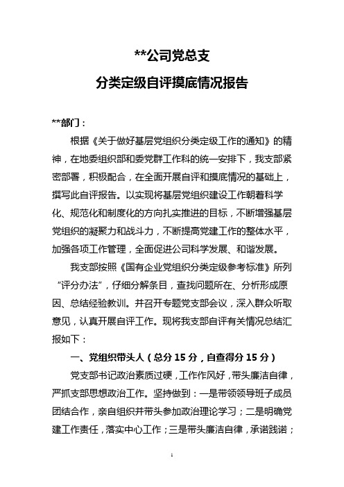 党支部分类定级自查情况报告