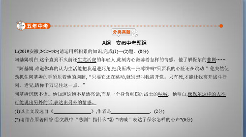 安徽中考语文 专题三 名著阅读