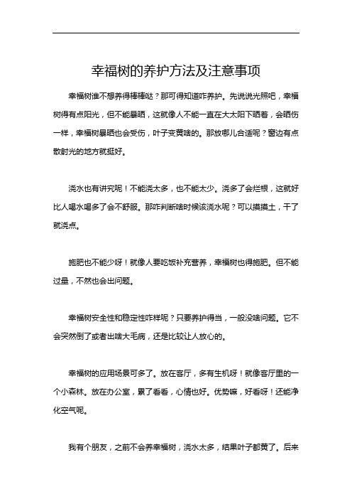 幸福树的养护方法及注意事项