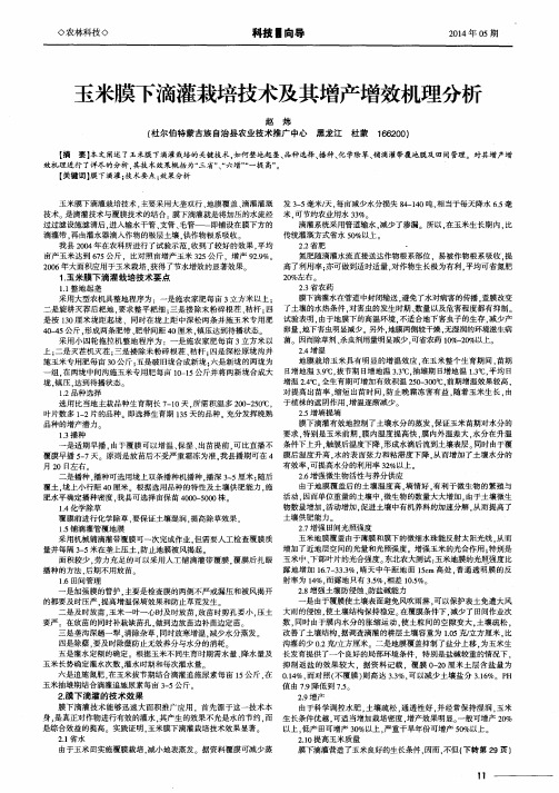 玉米膜下滴灌栽培技术及其增产增效机理分析