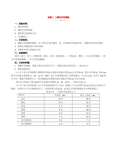 实验2.上颌尖牙的描绘