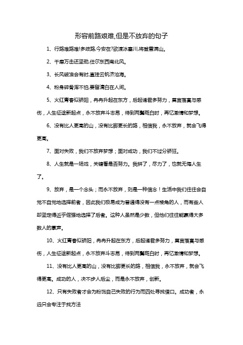 形容前路艰难,但是不放弃的句子