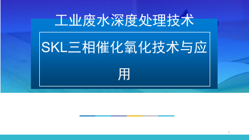 工业废水深度处理技术神克隆