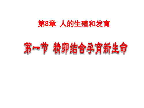 (名师整理)最新苏教版生物7年级下册第8章第1课《精卵结合孕育新的生命》精品课件