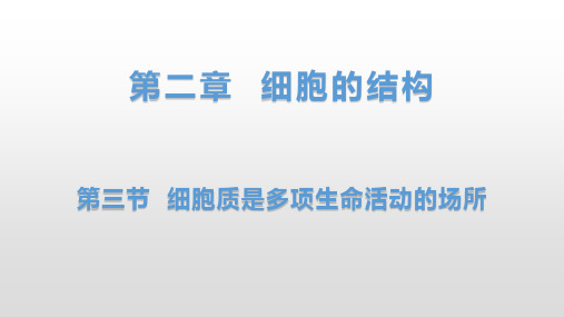 浙科版(2019)必修一  2-3细胞质是多项生命活动的场所(1)  课件(18张)