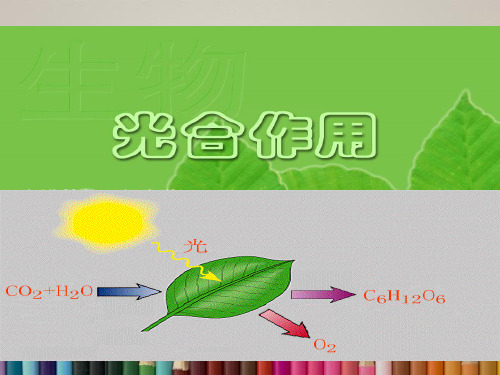 高中生物光合作用课件浙科版必修1.ppt