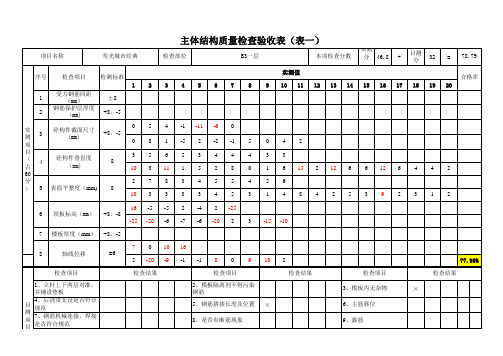 实体质量检查表格