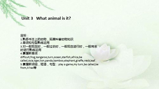 六年级下册英语课件-Unit3 What animal is it？ 教科版